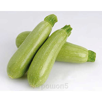 Кабачок Арал F1 1000шт SAKATA