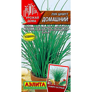 Лук шнитт Домашний Аэлита Ц