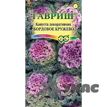 Капуста декор. Бордовое кружево Гавриш Ц 