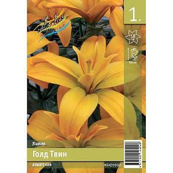 Лилия Голд Твин 12/14 1 Эконом шт