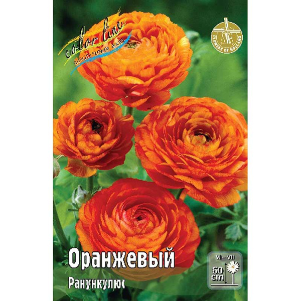 Ранункулюс Оранжевый 6/7 200 шт Шоу-Бокс 9211