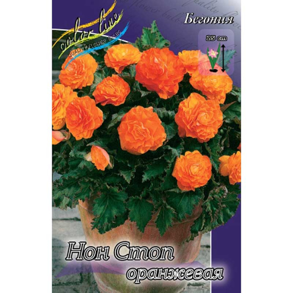 Бегония Нон Стоп Голд Оранжевая 5/6 50 шт Шоу-Бокс 8851