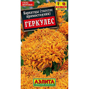 Бархатцы Геркулес Аэлита Ц 