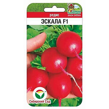 Редис Эскала СибСад Ц