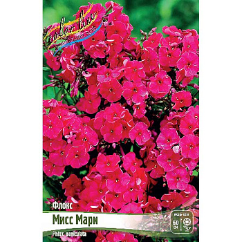 Флокс Мисс Мари I 2 шт