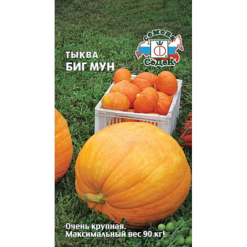 Тыква Биг Мун Седек Ц