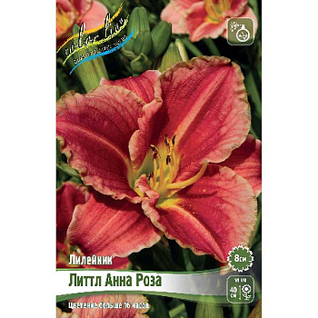 Лилейник Литтл Анна Роза I 1 шт 