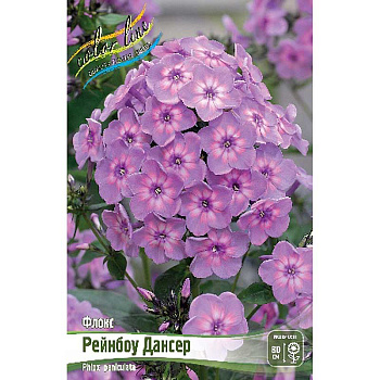 8118 Биг-Пак Флокс Рейнбоу Дансер I 25 шт