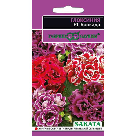 КОМ Глоксиния Брокада  гранул Гавриш Ц 