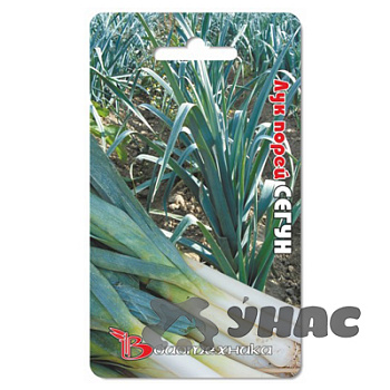 Лук порей Сегун Биотехника Ц