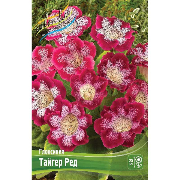 Глоксиния Тайгер Ред 5/6 2 шт 