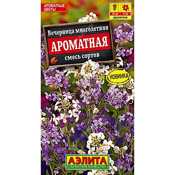 Вечерница Ароматная Аэлита Ц 