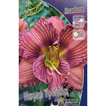 Лилейник Ноуэр Ту Хайд I 25 шт Биг-пак 2321