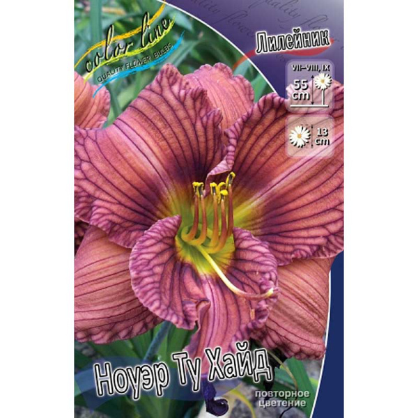 Лилейник Ноуэр Ту Хайд I 25 шт Биг-пак 2321