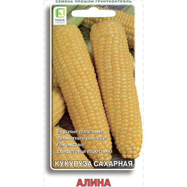 Кукуруза Алина Поиск Ц
