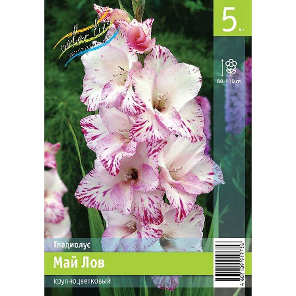 Гладиолус Май Лов 10/12 5 Эконом шт 