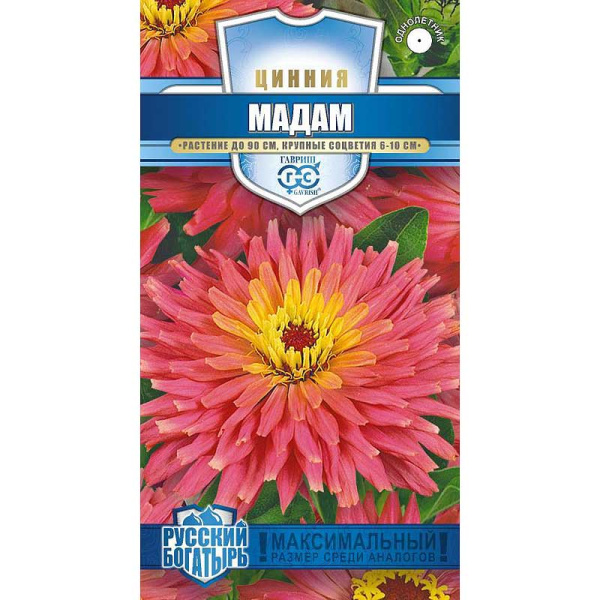 Циния Мадам Гавриш Ц 
