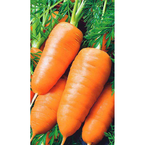 Морковь Шантенэ королевская 1гр Садовита Ц