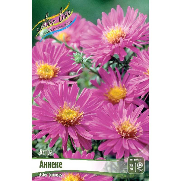 8296 Биг-Пак Астра Аннеке I 25 шт