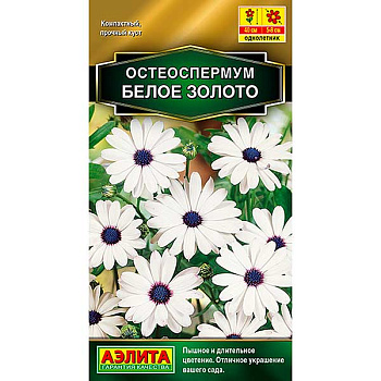 Остеоспермум Белое золото Аэлита Ц 