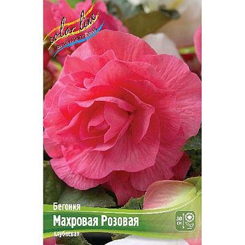 Бегония Махровая Розовая 5/6 3 шт 