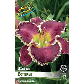 Лилейник Беттилен I 1 шт
