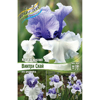 Ирис Германский Винтри Скай I 1 шт