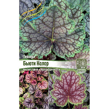 Гейхера Бьюти Колор I 1 шт 