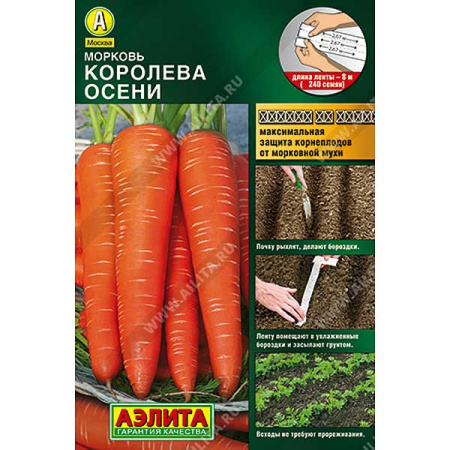 Морковь Королева осени (лента) Аэлита Ц
