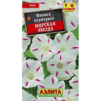 Ипомея Морская звезда Аэлита Ц 
