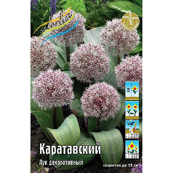 6356 Шоу-Бокс Лук Декор. Каратавский 10/12 50 шт