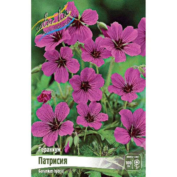 Гераниум Патрисия I 25 шт Биг-пак 4652
