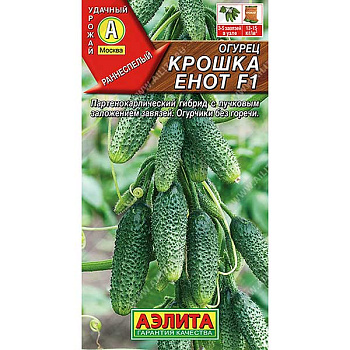 Огурец Крошка Енот Аэлита Ц