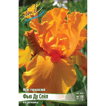 Ирис Германский Фью Ду Сейл I 1 шт