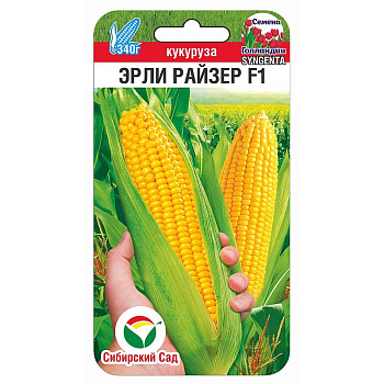 Кукуруза Эрли Райзер СибСад Ц