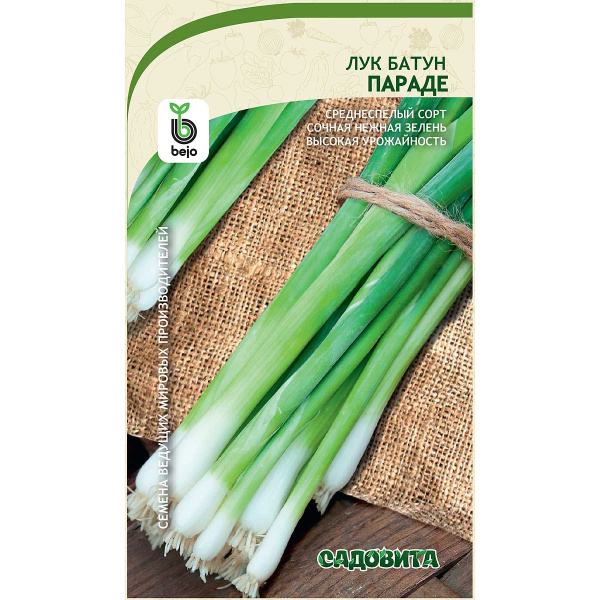 Лук батун Параде 0,2гр Bejo/Садовита Ц