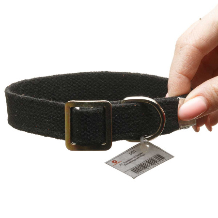 Ошейник брезент ширина 20 мм безразмерный 45 см