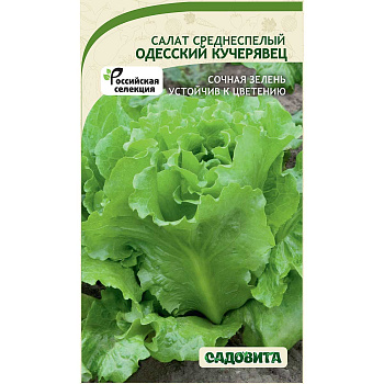Салат Одесский кучерявец 0,5гр Садовита Ц