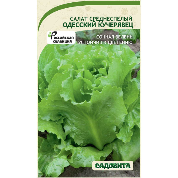 Салат Одесский кучерявец 0,5гр Садовита Ц