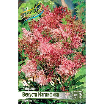 Лабазник Венуста Магнифика I 25 шт Биг-Пак 8464