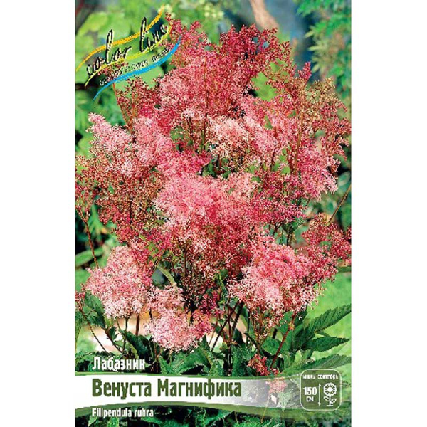 Лабазник Венуста Магнифика I 25 шт Биг-Пак 8464
