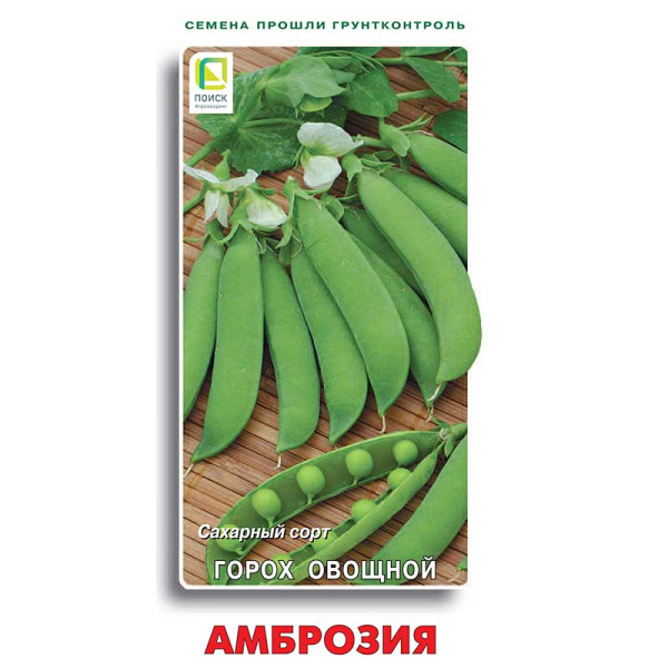 Горох Амброзия Поиск Ц