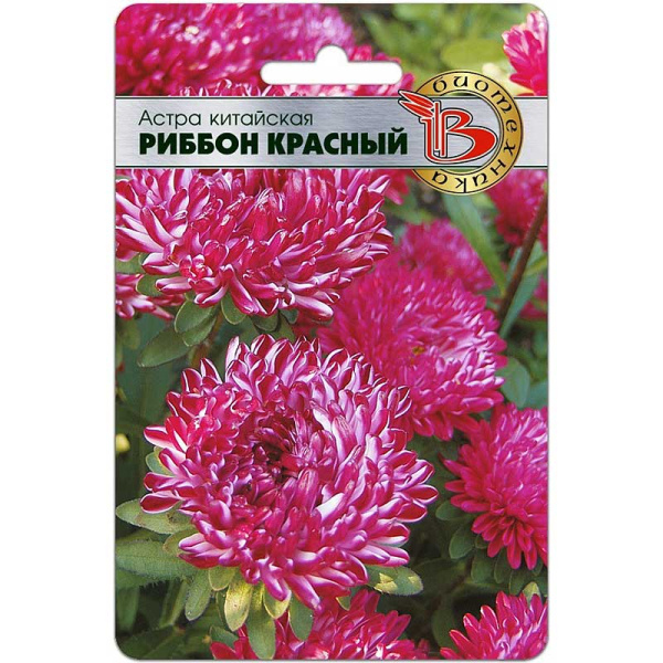 Астра Риббон Красный (Рэд) Биотехника Ц 