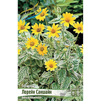 8373 Биг-Пак Гелиопсис Лорейн Саншайн I 25 шт 
