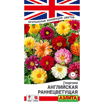 Георгин раннецветущая Английская смесь Аэлита Ц 