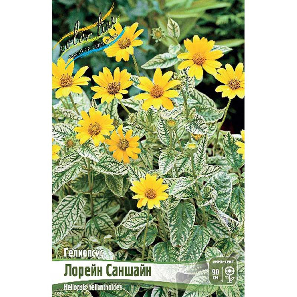 8373 Биг-Пак Гелиопсис Лорейн Саншайн I 25 шт 