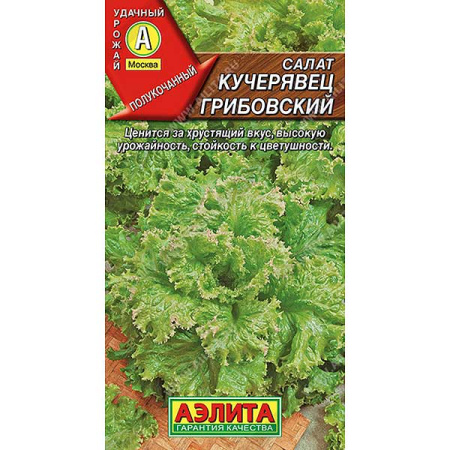 Салат Кучерявец грибовский Аэлита Ц