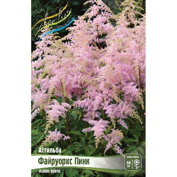 Астильба Файруоркс Пинк 2/3 n 25 шт Биг-пак 16331 