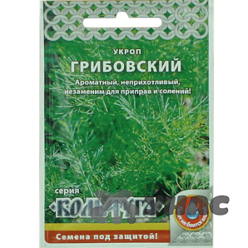 Укроп Грибовский "Кольчуга" НК Ц