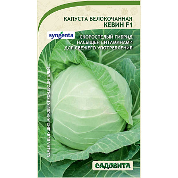 Капуста Кевин белокочанная F1 10 шт Syngenta/Садовита Ц